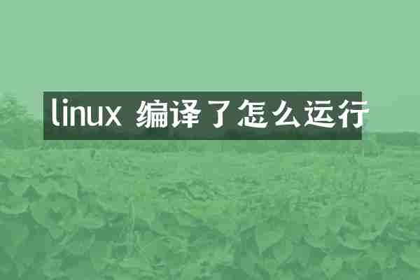 linux 编译了怎么运行