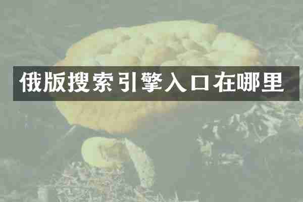 俄版搜索引擎入口在哪里