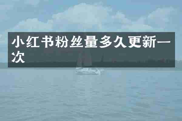 小红书粉丝量多久更新一次