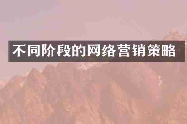 不同阶段的网络营销策略