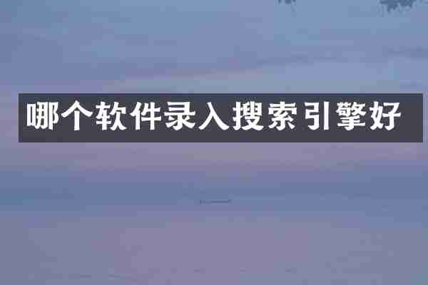 哪个软件录入搜索引擎好