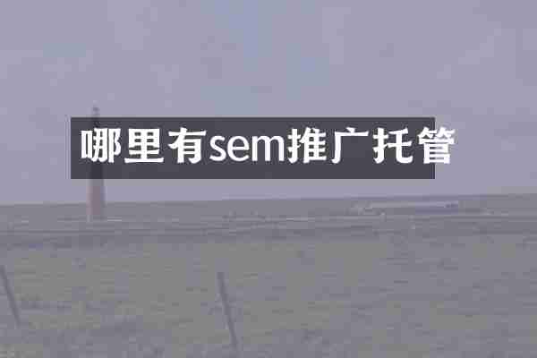 哪里有sem推广托管