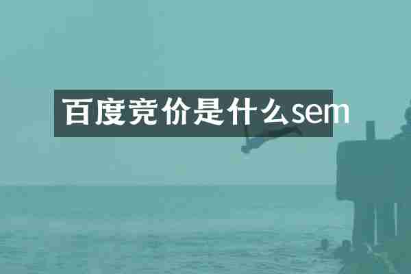 百度竞价是什么sem