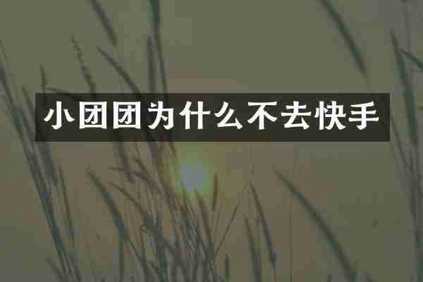 小团团为什么不去快手