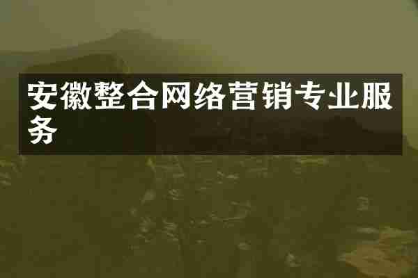 安徽整合网络营销专业服务