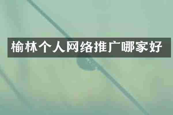 榆林个人网络推广哪家好