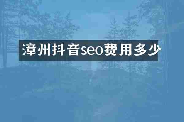 漳州抖音seo费用多少