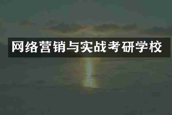 网络营销与实战考研学校