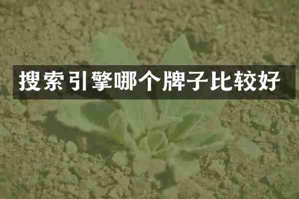 搜索引擎哪个牌子比较好