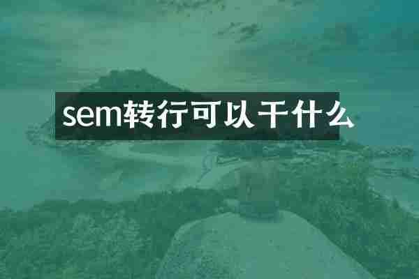 sem转行可以干什么