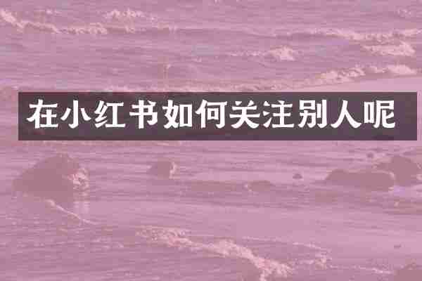 在小红书如何关注别人呢
