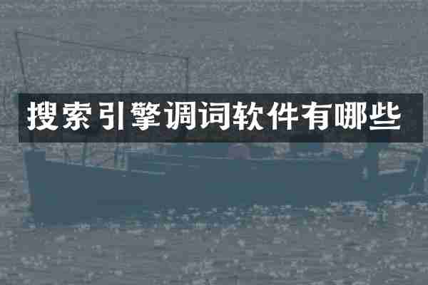 搜索引擎调词软件有哪些