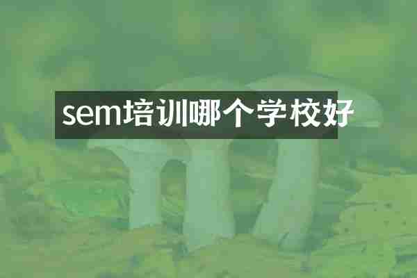 sem培训哪个学校好