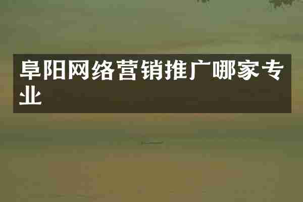 阜阳网络营销推广哪家专业