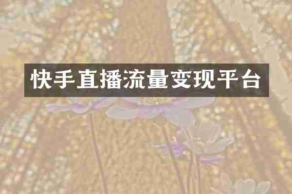 快手直播流量变现平台