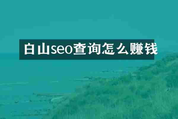 白山seo查询怎么赚钱