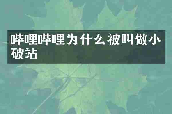哔哩哔哩为什么被叫做小破站