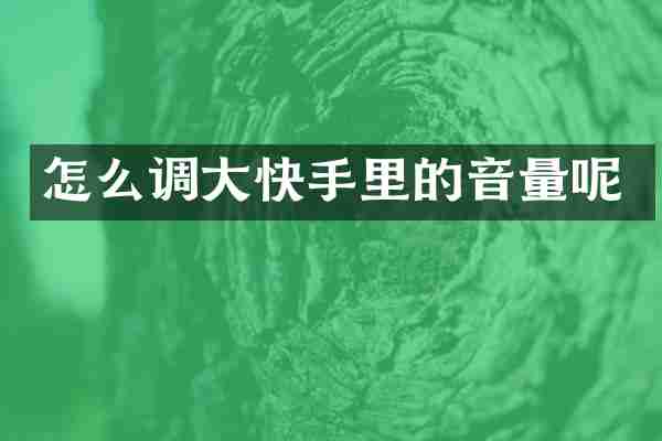 怎么调大快手里的音量呢