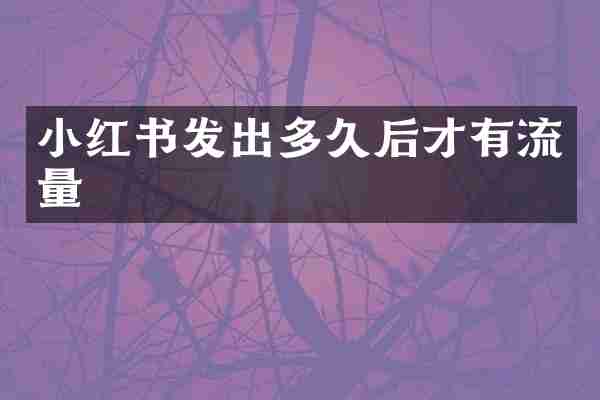小红书发出多久后才有流量
