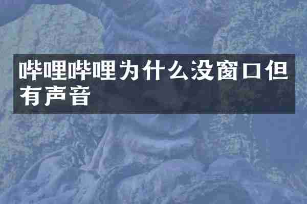 哔哩哔哩为什么没窗口但有声音