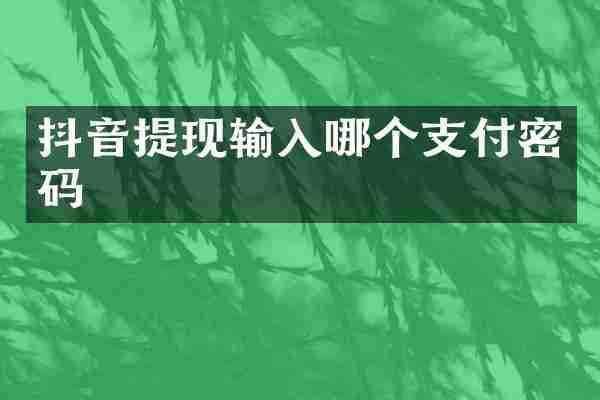 抖音提现输入哪个支付密码
