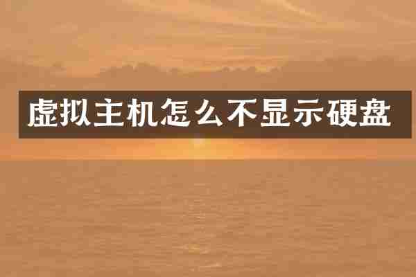 虚拟主机怎么不显示硬盘