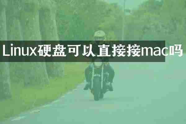 Linux硬盘可以直接接mac吗