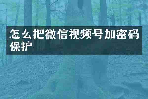 怎么把微信视频号加密码保护