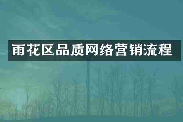 雨花区品质网络营销流程
