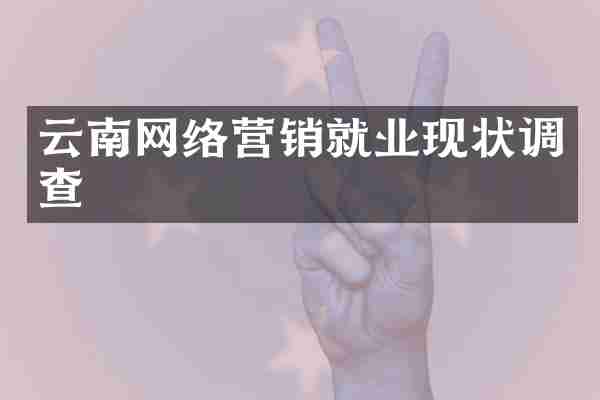 云南网络营销就业现状调查
