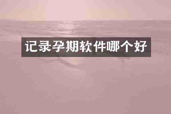 记录孕期软件哪个好