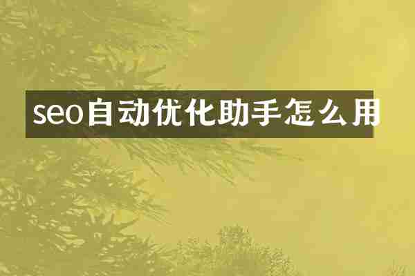 seo自动优化助手怎么用
