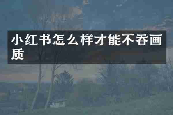 小红书怎么样才能不吞画质