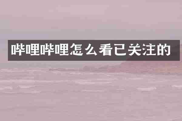 哔哩哔哩怎么看已关注的