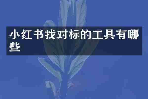 小红书找对标的工具有哪些