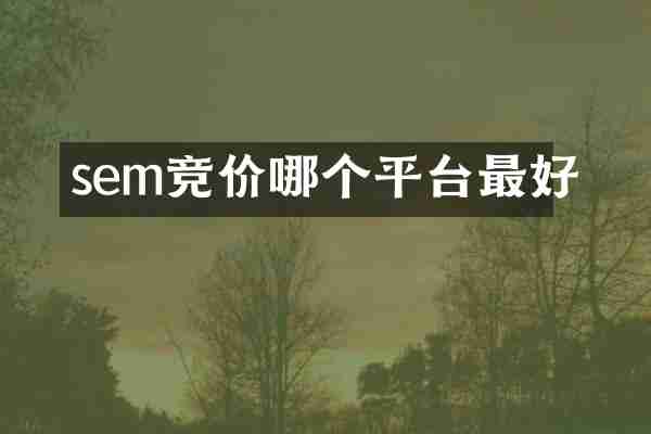 sem竞价哪个平台最好