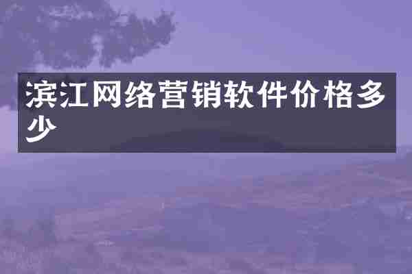 滨江网络营销软件价格多少