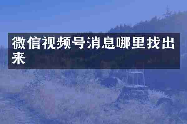 微信视频号消息哪里找出来