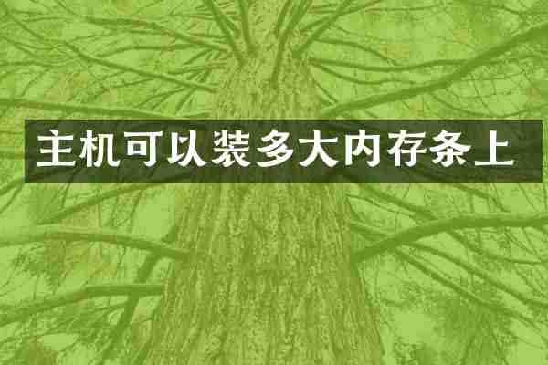 主机可以装多大内存条上