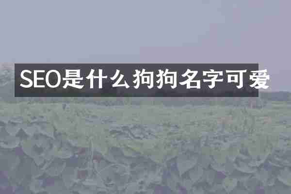SEO是什么狗狗名字可爱