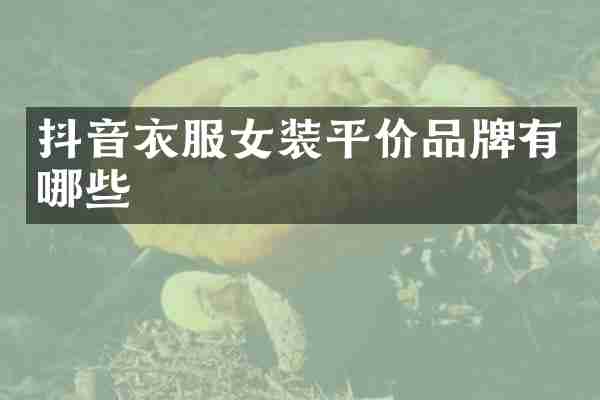 抖音衣服女装平价品牌有哪些