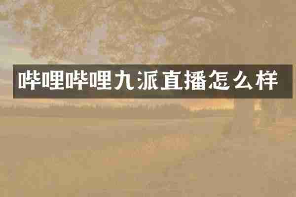 哔哩哔哩九派直播怎么样