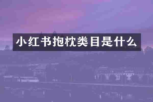 小红书抱枕类目是什么