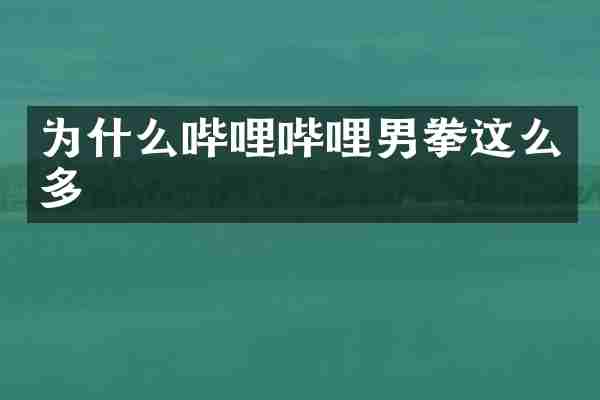 为什么哔哩哔哩男拳这么多