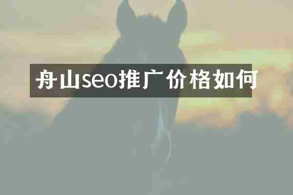 舟山seo推广价格如何