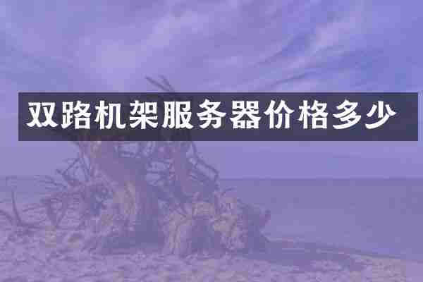 双路机架服务器价格多少