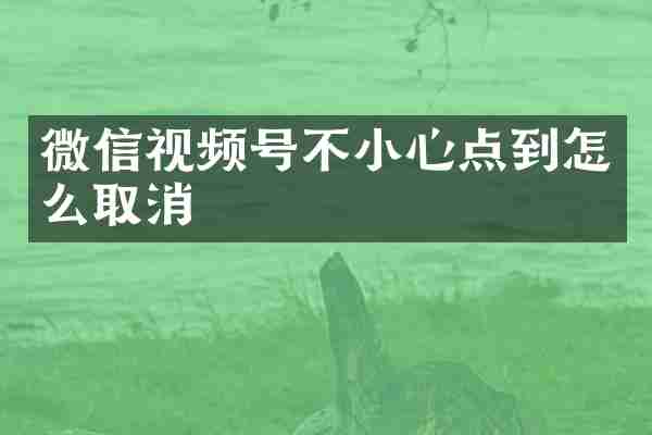 微信视频号不小心点到怎么取消