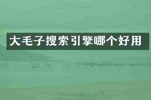 大毛子搜索引擎哪个好用