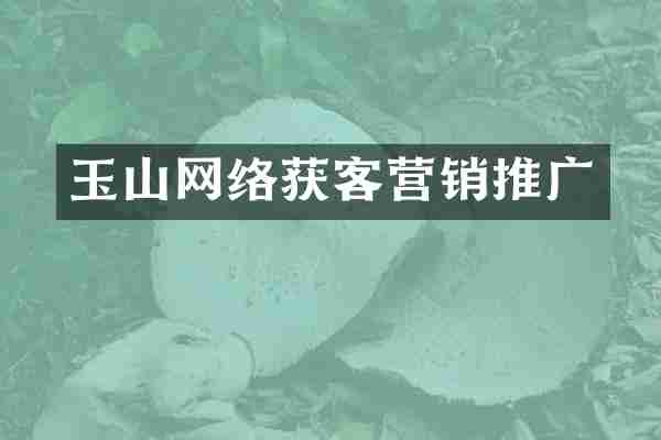 玉山网络获客营销推广