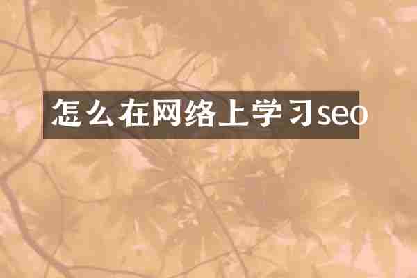 怎么在网络上学习seo